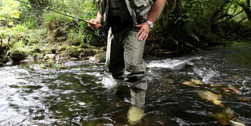 Waders