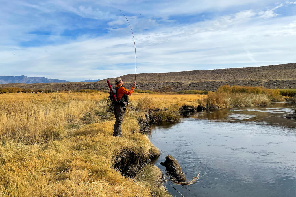 Fly Rods